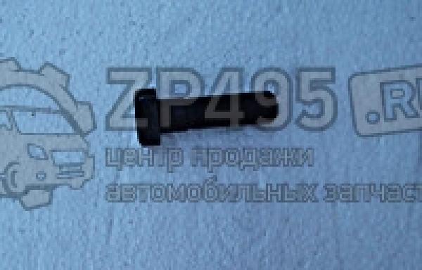 : 6501404 0014649     /   31105 . (, ,,,,, , NEXT, NEXT) chelyabinsk.zp495.ru